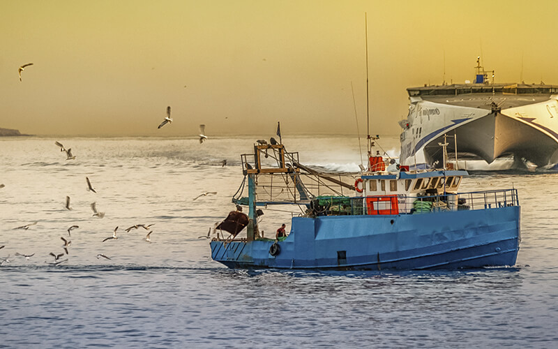 Servicio Técnico PESCA